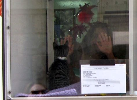 9/11 and Why are Verizon Land Lines So Expensive? – Stacy Horn