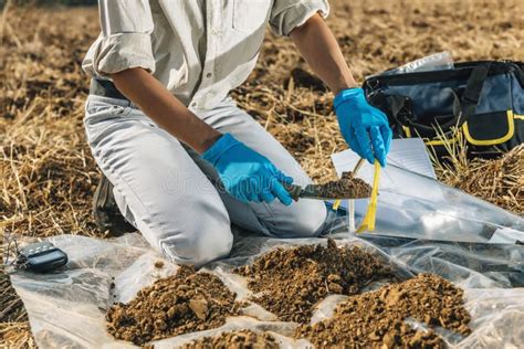 Soil Testing Agronomy Inspector Taking Soil Sample Stock Photo Image