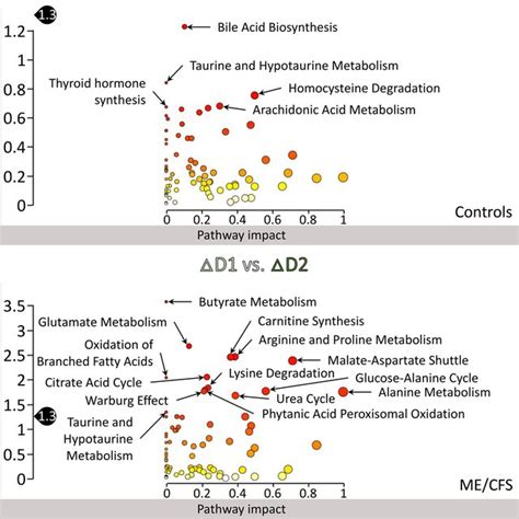 Pathway Analysis Results Using Metaboanalyst For The Female D1pre Time Download Scientific