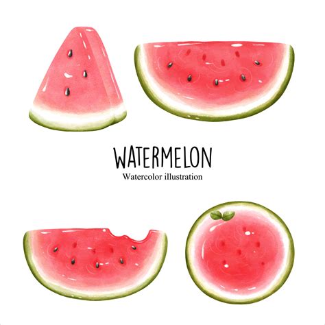 Watercolor Watermelon Fruit Vector Illustration 10716366 Vector Art At Vecteezy