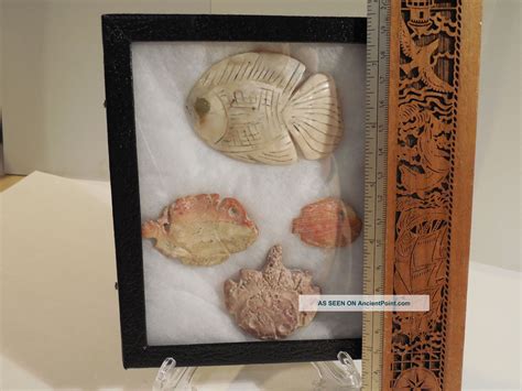 Moche Shell Pendants Display Pre Columbian Archaic Ancient Artifacts
