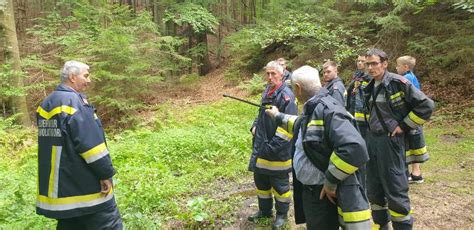 Perfektionsfahrt Freiwillige Feuerwehr Hochwolkersdorf