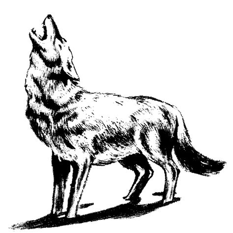 Wolf Clip Art Wolf Silhouette Wolf Howling Wolf