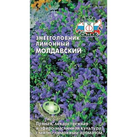 Змееголовник (мелисса турецкая) Молдавский, семена (93326): купить ...