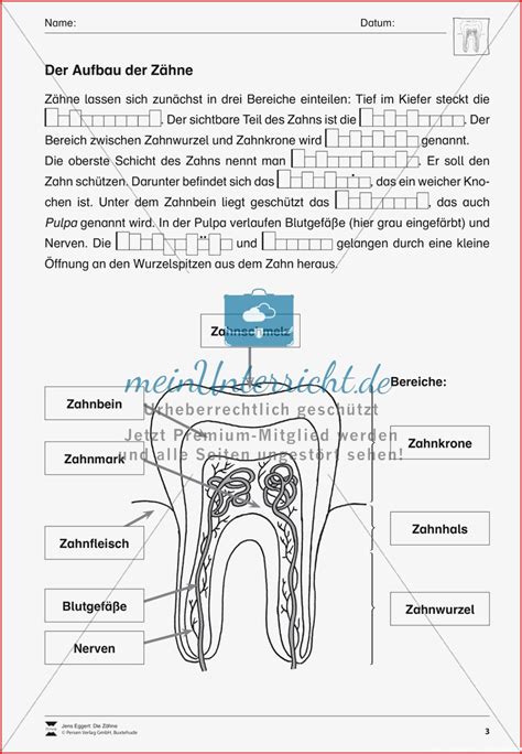 Sensationell Zahn Grundschule Arbeitsbl Tter F R Kostenlose