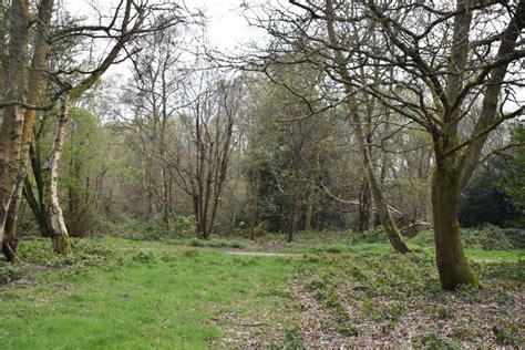 Tunbridge Wells Common © N Chadwick Geograph Britain And Ireland