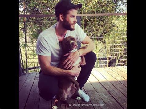 Marlon Brando Was A Bisexual Unfaithful Sex Addict Says New Book Perez Hilton