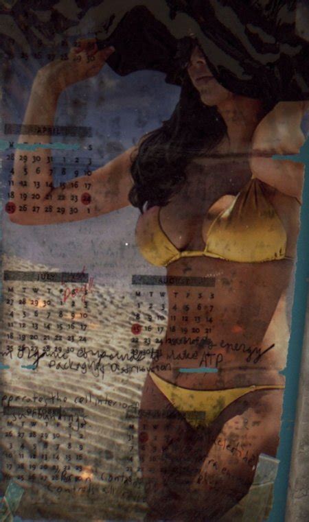 Needs Id Whos This Girl Freeones Forum The Free Sex Community