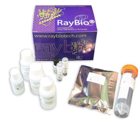 Raybiotech Quantibody® Rat Inflammation Array Q1 Qar Inf 1 2 Industrial