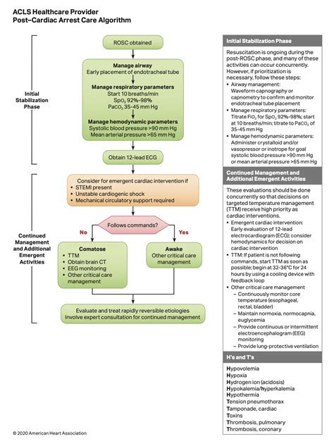 Acls Post Cardiac Arrest Algorithm — Mict