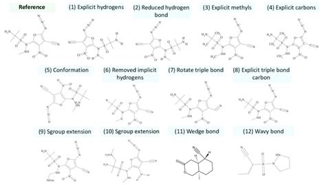 Molecule Augmentations The Figure Illustrates All Molecule