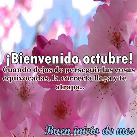 Imágenes De ¡bienvenido Octubre Con Frases Y Pensamientos Positivos