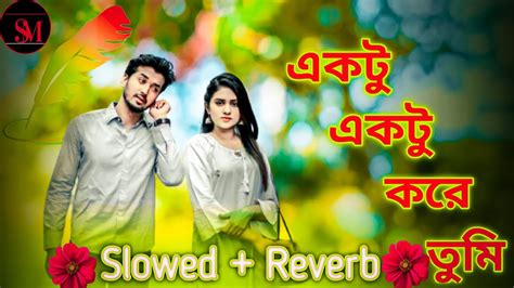 Ektu Ektu Kore Tumi একটু একটু করে তুমি Slowed Reverb Bangla Old