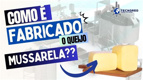 Processo de fabricação do queijo mussarela YouTube