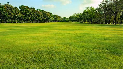 Historic Chicago municipal course celebrating 125th anniversary - Golf ...