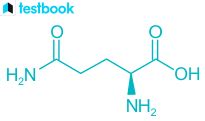 Glutamine: Learn Definition, Structure, Function, Uses & Effects