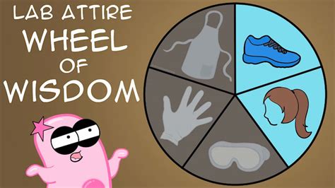 The Amoeba Sisters Human Body Systems