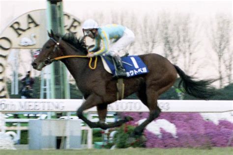 【競馬秘宝館】芝、ダートで活躍した〝二刀流馬〟たち＝ホクトベガ、イーグルカフェ編＝ 競馬ニュース・特集なら東スポ競馬