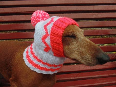 warm hat  dog  cat hat   dog hat  small dog hat etsy