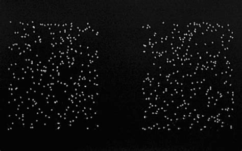 Example Of Random Dot Kinematogram Rdk For Coherent Motion Test Download Scientific Diagram