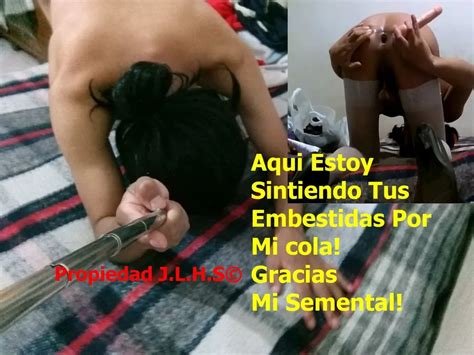 Joselynne Cd My Sissy Latin Caps 02 Feminization 27 Nude Pics XHamster