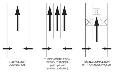 Types Of Well Completion In Oil And Gas Drilling Manual