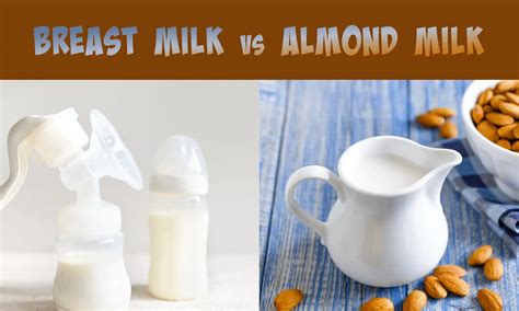 Breast Milk vs Almond Milk: Which is Better? - The Coconut Mama