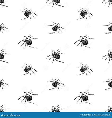 Poisonous Spiders Species Cartoon Vector Set 137379403