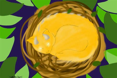 Fireheart Warrior Cats