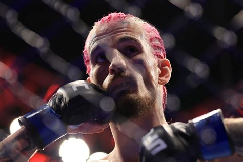 Sean OMalley Net Worth 2022: How much is ‘Sugar’ worth?