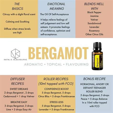 Bergamot Essential Oil Uses Artofit