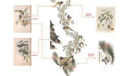 Future Political Allegories Will Be Compared To What Animal Farm Characters Represent - DADA