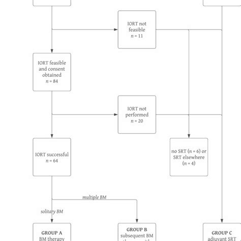 Flowchart Of Patient Selection Iort Intraoperative Radiotherapy