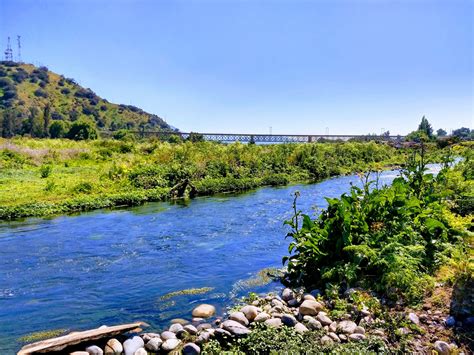 Inician trabajo de restauración del Sendero Ecológico Humedal Mapocho