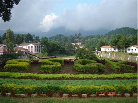 Ghorakhal Sainik School | Ghorakhal Tea Garden | Golu Devta Temple.