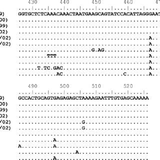Alignment showing differences in nucleotide sequence of HMPV F genes ...