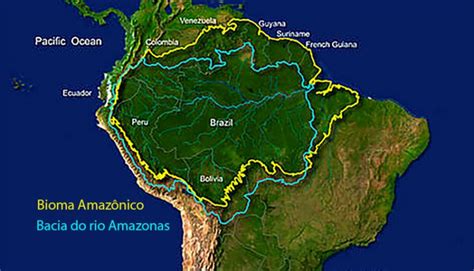 Bacia Amazônica Características - Mapa Do Rio Bacia Amazonica Bacia Amazônica: Rios, Características E