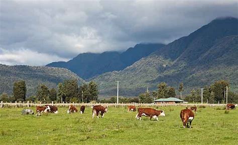 Advierten Que El N Mero De Personas Que Padecen Hambre En Am Rica Latina Est En Su Punto M S