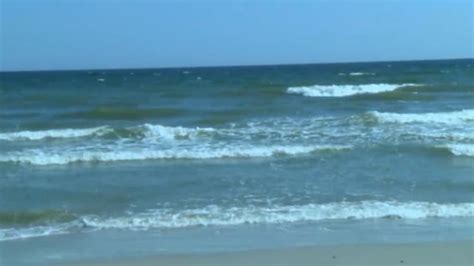 Shark bites man at New Smyrna Beach, officials say | FOX 35 Orlando