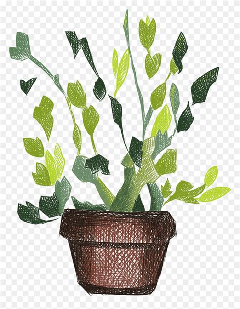 Descargar Png Plantas Pintadas A Mano Flores En Maceta Fresca Y Psd