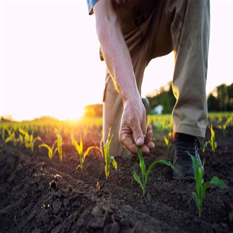 Organic Farming – Hope | Love | Wholeness