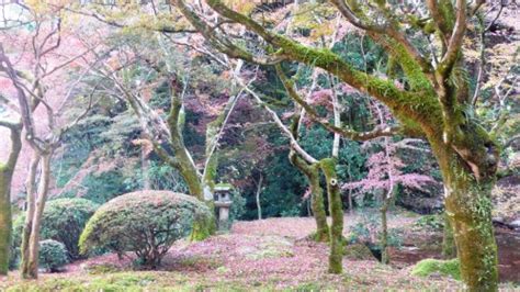 Discover Japanese Garden In Autumn At Kunenan