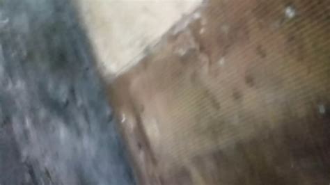 Chuukese Sex Tape Close Up Close Up Porn Xhamster