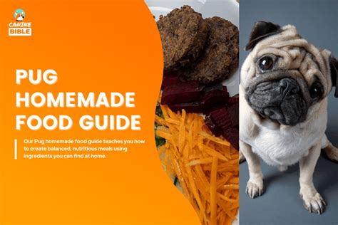 Homemade Dog Food For Pugs: Best Recipes [Puppy & Adult] - Canine Bible