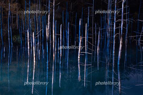 ライトアップされた秋の夜の湖 美瑛町 写真素材 6619591 フォトライブラリー Photolibrary