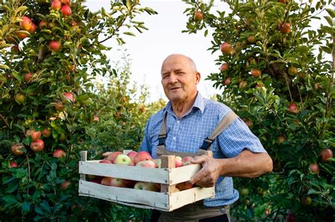 Strona 3 Plantacja Owocow Zdjęcia darmowe pobieranie na Freepik