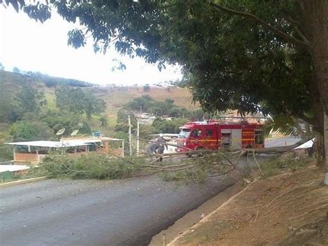 Ventania Derruba Tronco De árvore E Interdita Trânsito Na Br 356 Em Muriaé