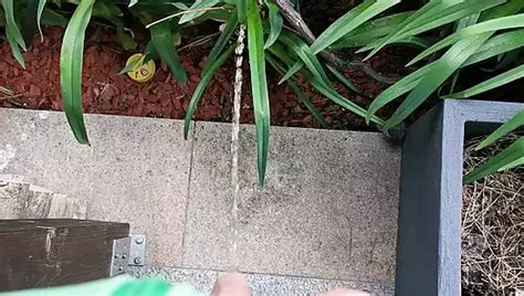 Sneakers Gay Graz Gay Porn Videos Sex Model Nudes XHamster