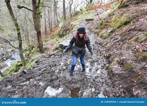 Beautiful Mature Brunette Outraged By Being Stuck In Mud Stock Image CartoonDealer