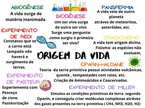A Origem Da Vida Teoria - A Teoria Da Origem Da Vida - BINKEDU